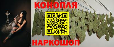 сатива Ливны