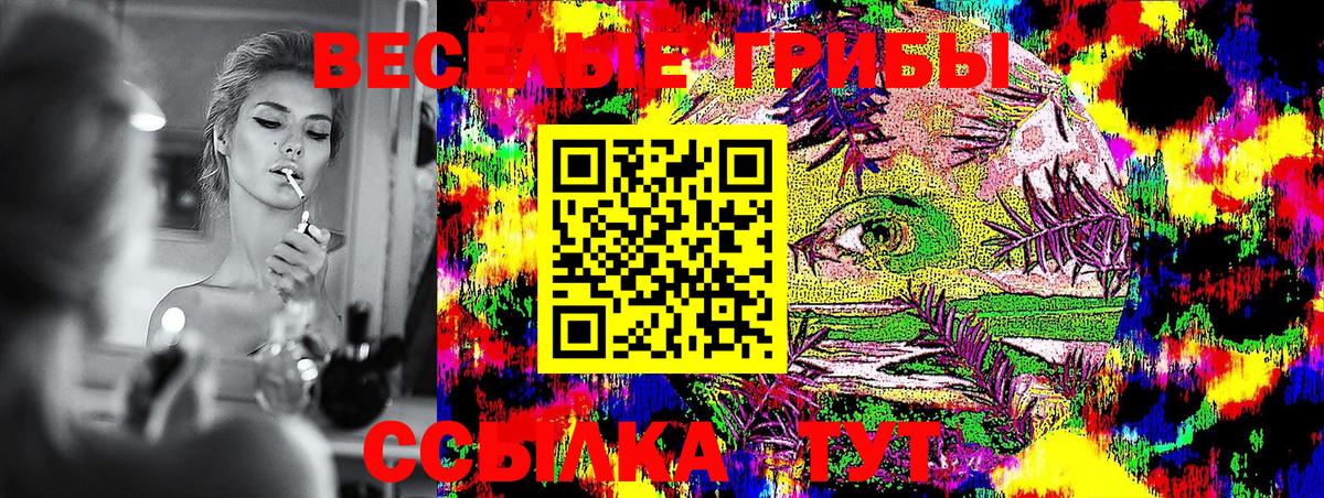 Шахты  Псилоцибиновые грибы Psilocybine cubensis  Вход с VPN  Псилоцибиновые грибы Cubensis 